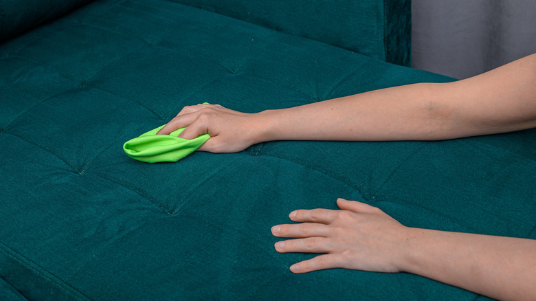 Close up of person cleaning upholstered furniture