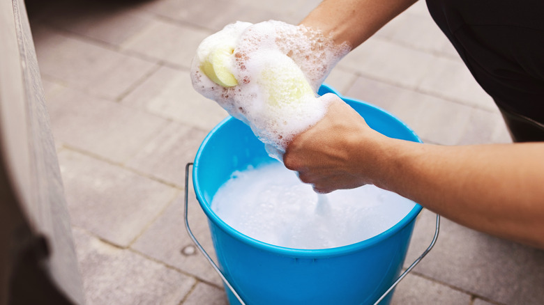 A man rings out a large yellow sponge in a bucket of soapy water in the bathroom.