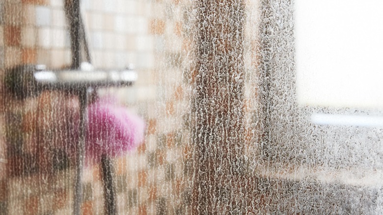 Soap scum and mineral deposits on a glass shower door.
