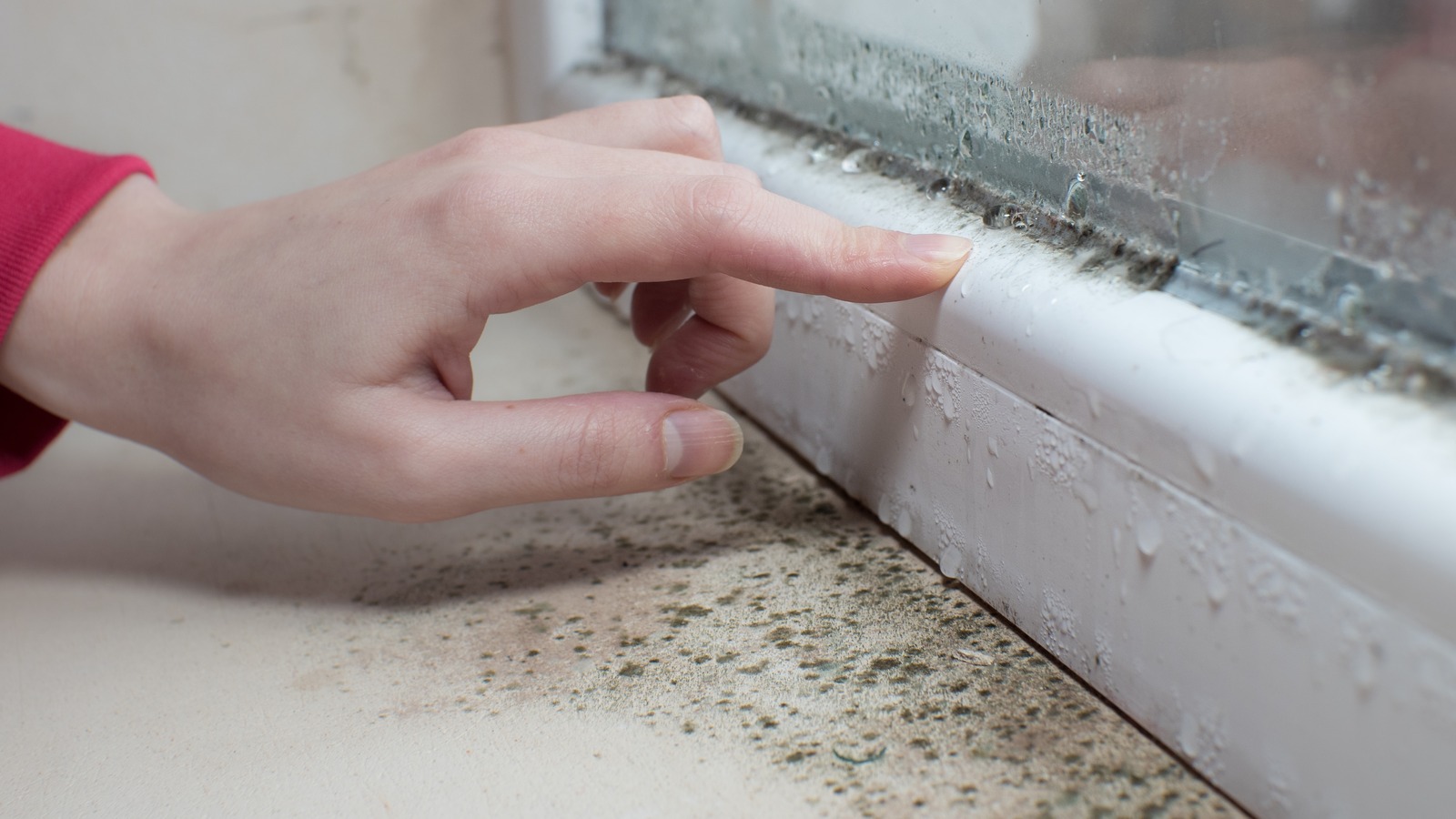 GLASSGUARD Miracle Mold Remover Gel Has Glowing Reviews And Is Worth It
