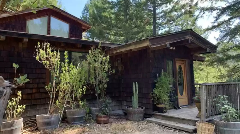 Outside view of cannabis farm