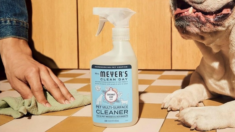 Mrs. Meyer's Clean Day Pet Multi-Surface Cleaner on a tiled floor next to a dog and someone wiping the ground with a cloth