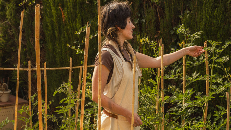 Woman touching plants staked with bamboo stalks