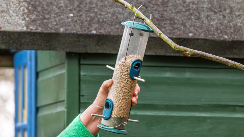 Person's hand holding a cyliner-shaped bird feeder that's hanging from a tree branch.