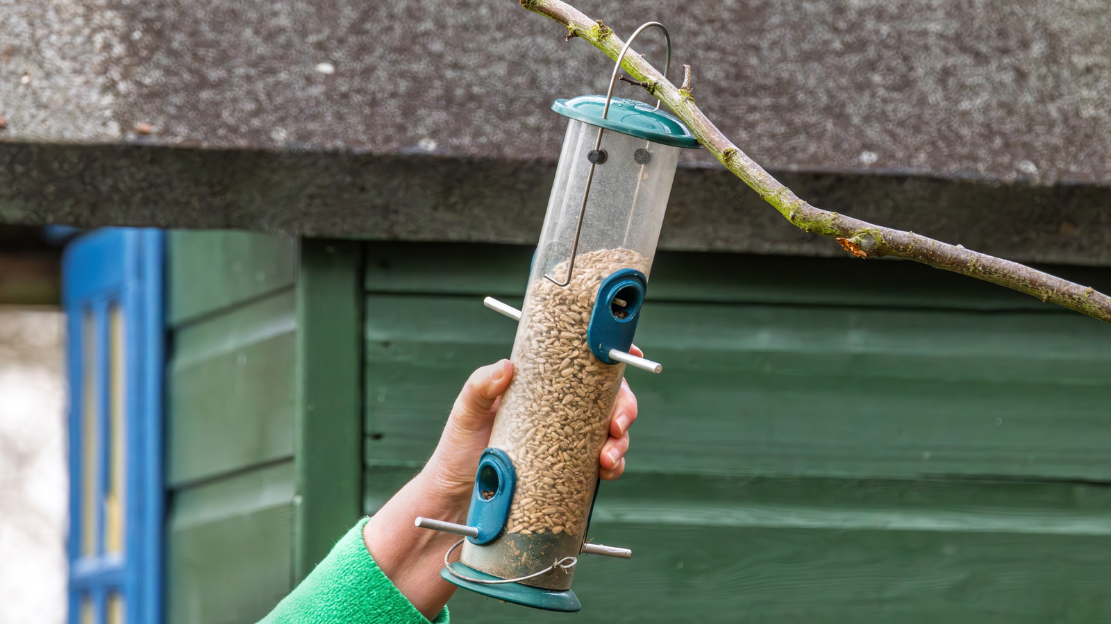 Goodbye Boring Bird Feeders — The Adorable Idea You Can DIY With Milk Jugs