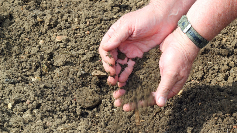Hands letting soil run through them