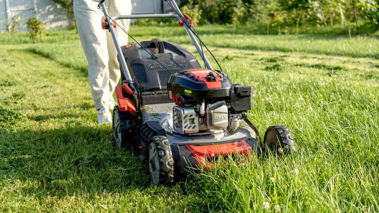 A person mowing long grass