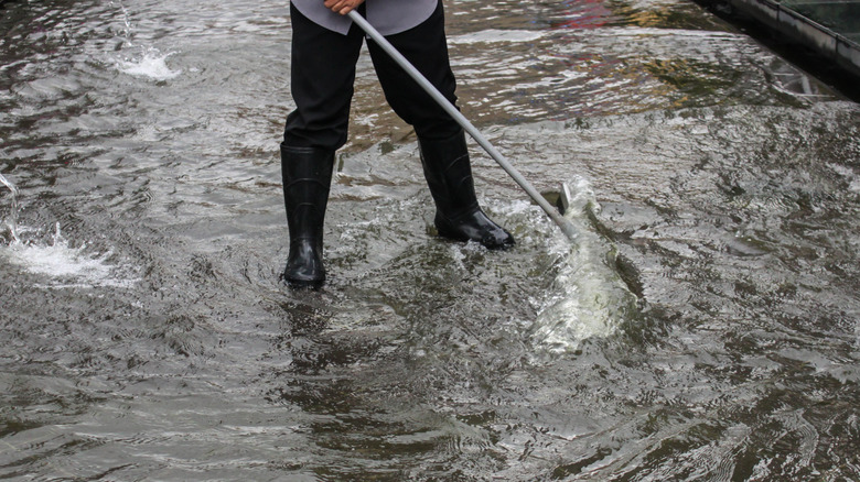Person working on a flooded driveway