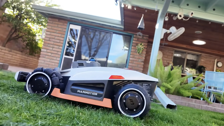 A robotic lawn mower in action in a residential lawn