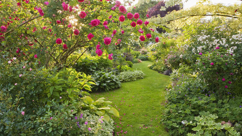 Country garden in France.