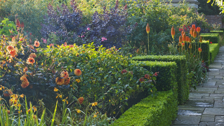 Formal English garden