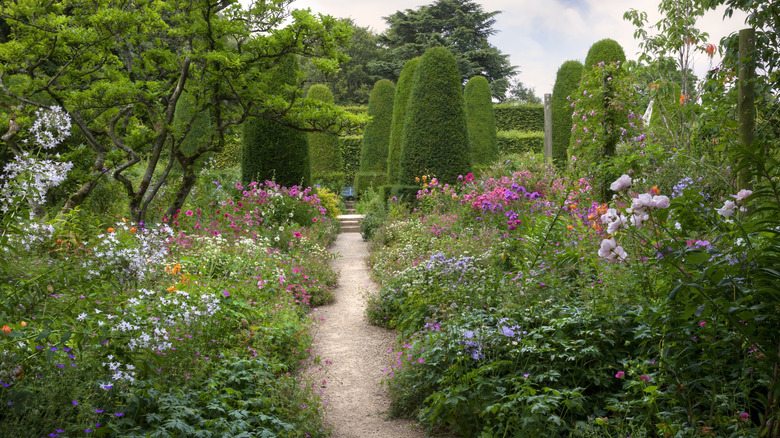English country garden with yew hedges.