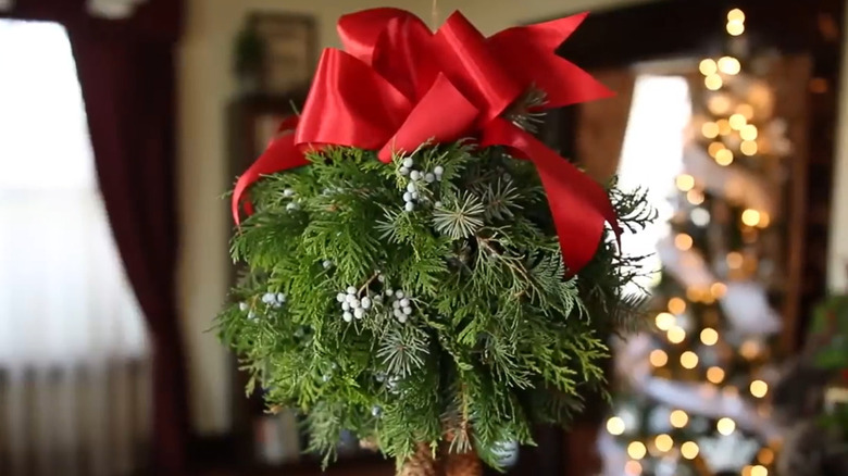 Kissing ball hanging near Christmas tree