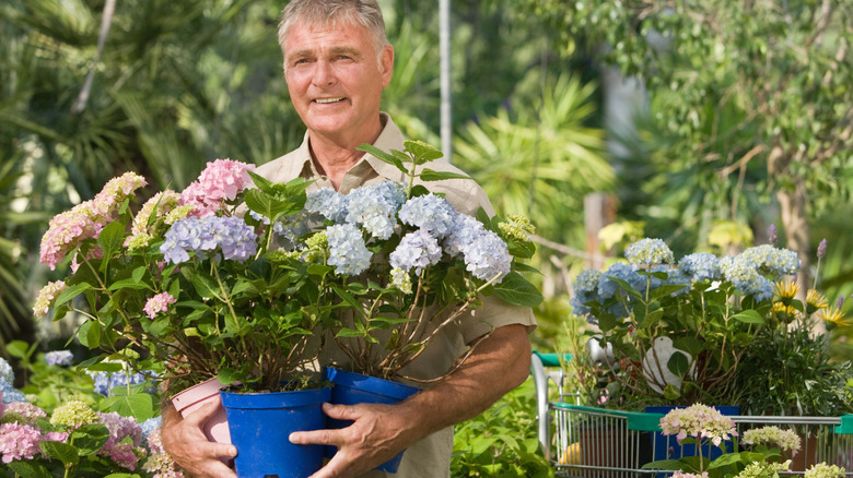 man holding several plants potted in nursery pots
