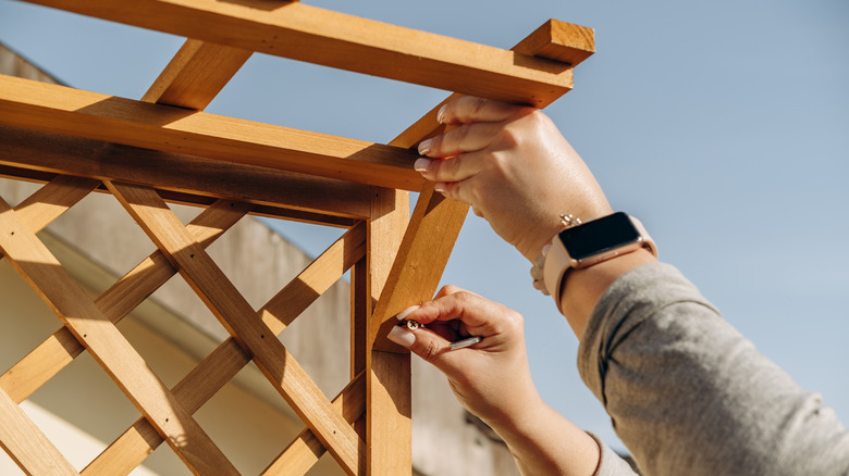 Gardener installing a store-bought trellis