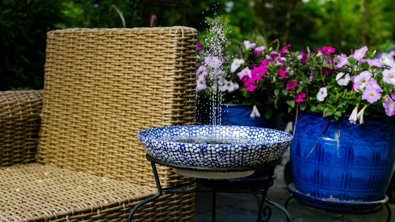 A shallow serving bowl on a metal stand used as a bird bath