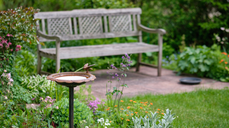 view of a traditional bird bath and a wooden bench on a sunny day