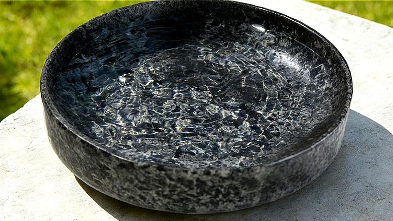 A marble bird bath bowl sits on a light gray table with blurred grass seen in the background.
