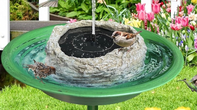 The SAC SMARTEN ARTS Solar Fountain for Bird Bath