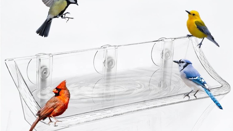 A picture of a bird bath attached to a window