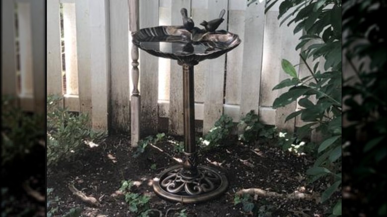 Vintage bronze style bird bath from home depot styled near a fence