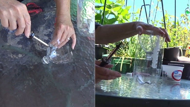 Person making DIY bird bath using plastic bottle