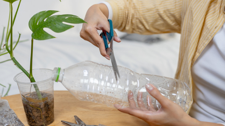 Person cutting plastic bottle for a DIY project