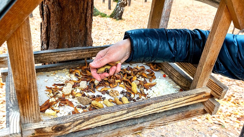 Close-up of a person's hand adding seeds to an open-sided bird feeder shaped like a house