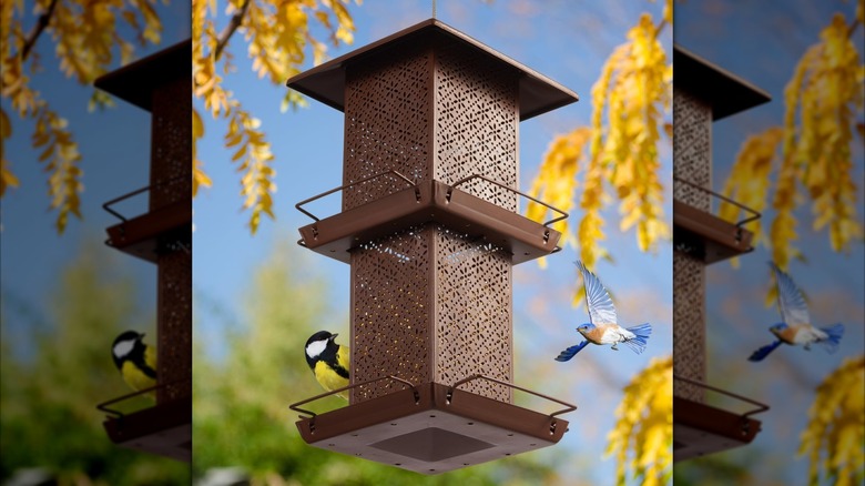 HouseSapp two-tier bird feeder
