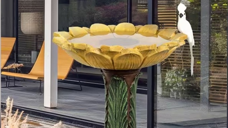 Bird sitting on a sunflower bird bath in a home's yard