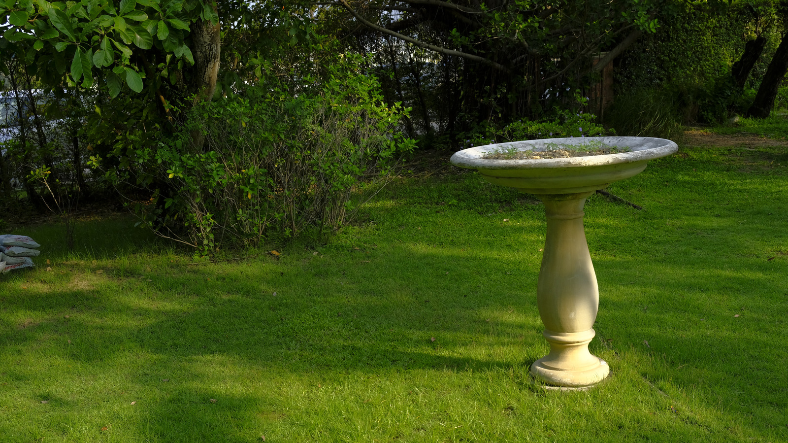 Goodbye Traditional Birdbaths — The New Home Depot Find That Looks Like A Tree