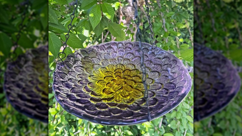 a purple and yellow glass birdbath hanging amid tree branches