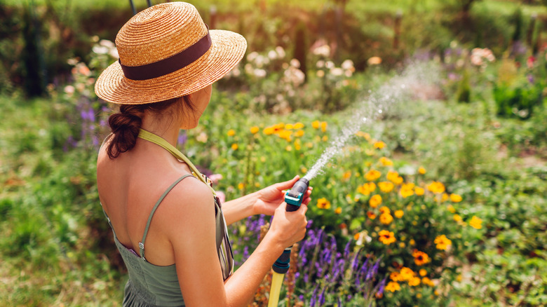 Woman watering garden with traditional water hose nozzle attachment.