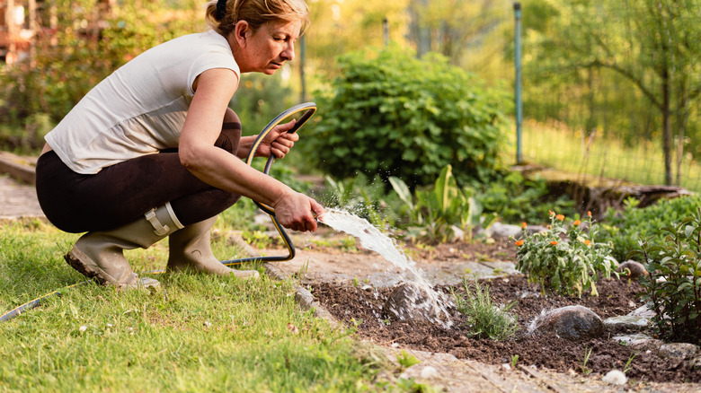 A person watering the garden with a traditional hose