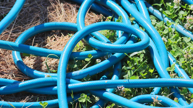 Tangled garden hose on the grass