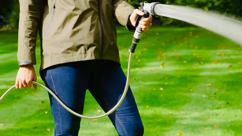 Woman waters her lawn with stainless steel hose.