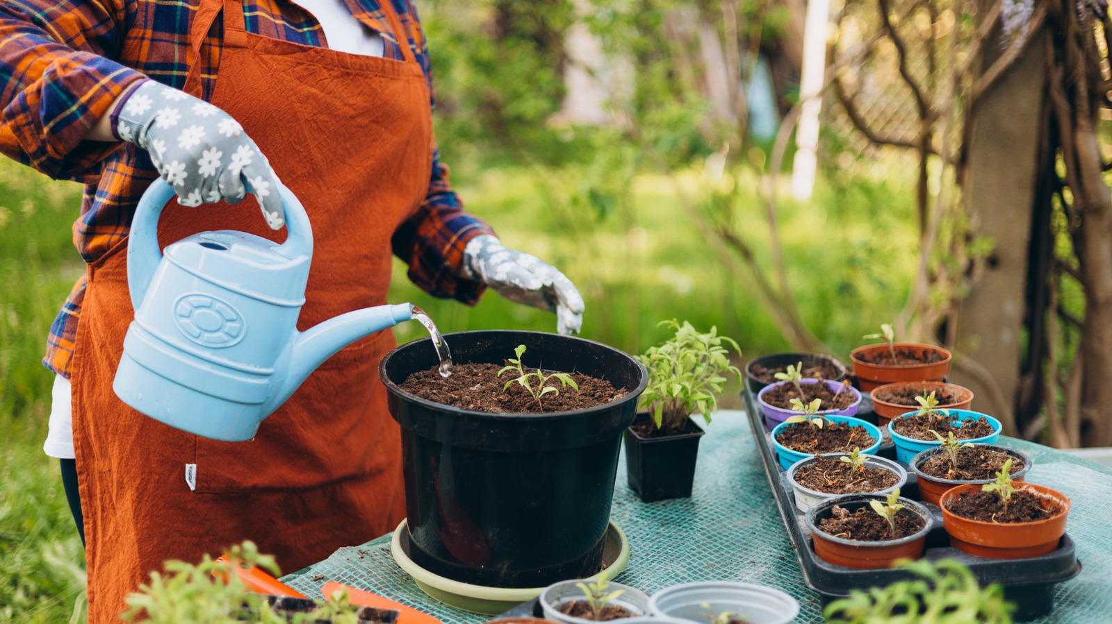 Goodbye Traditional Plastic Nursery Pots — There's A Plantable, More ...