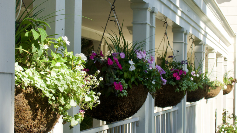 Large hanging planters adding privacy to a large porch