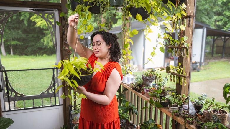 A woman holding a hanging plant on a screened in porch