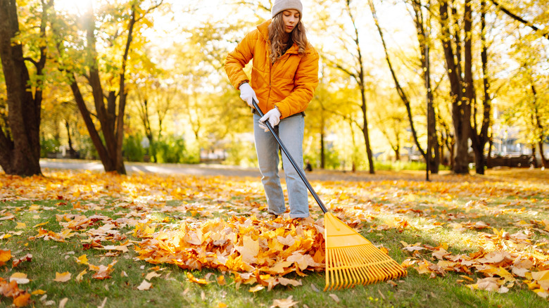 Young woman raking leaves in the fall