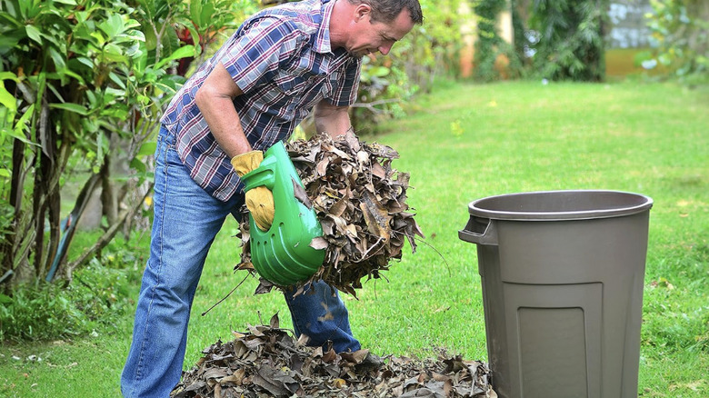 Man using leaf scoops to collect leaves in the yard