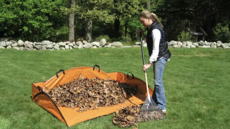Woman raking leaves into an orange tarp and leaf collector