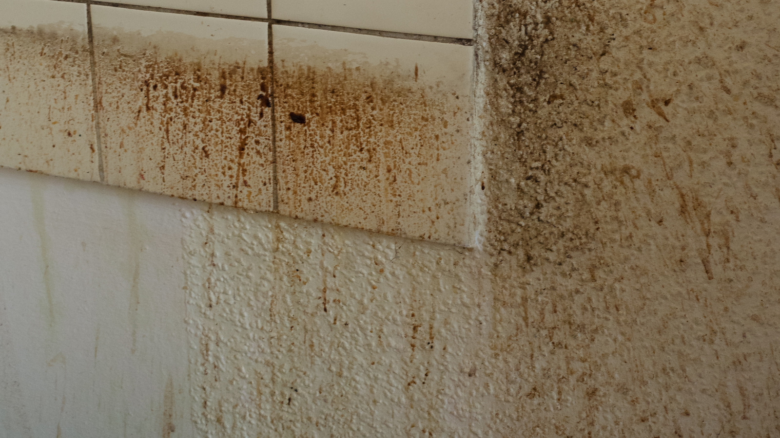 Grab This Handy Bathroom Staple To Remove Stubborn Grease Stains From