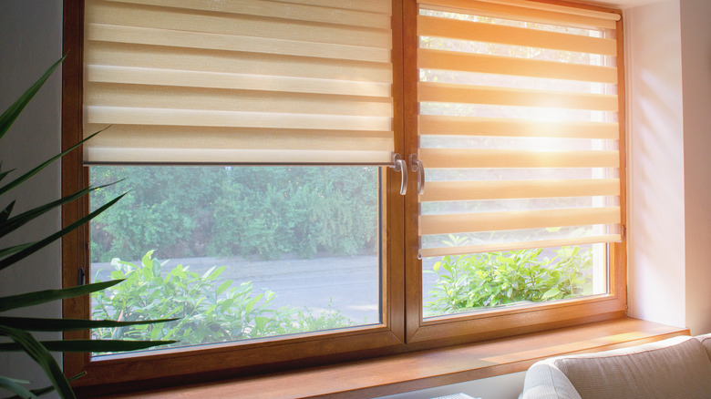 blinds in bedroom