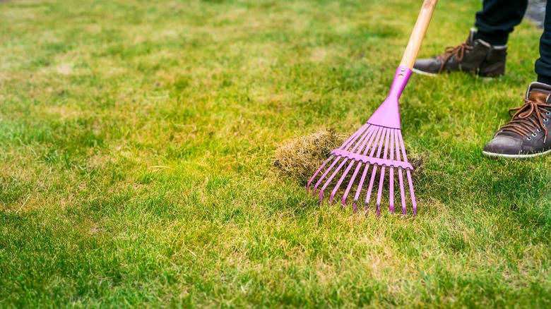 manually raking grass from lawn