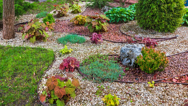 Intricate garden bed with both gravel and wood mulch.