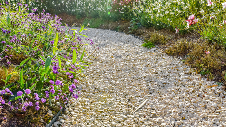 A pretty garden with a gravel path