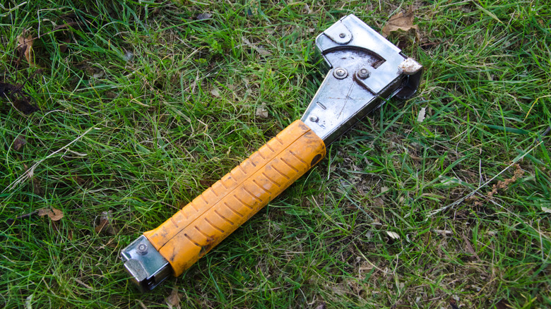 A hammer tacker left on a patch of grass
