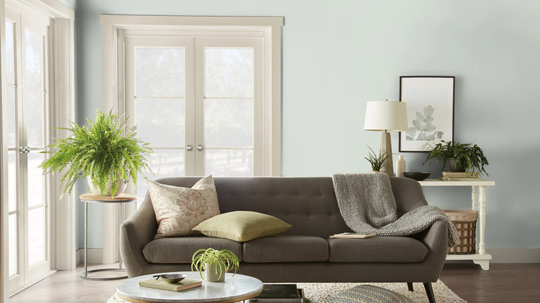 Juniper breeze on living room walls