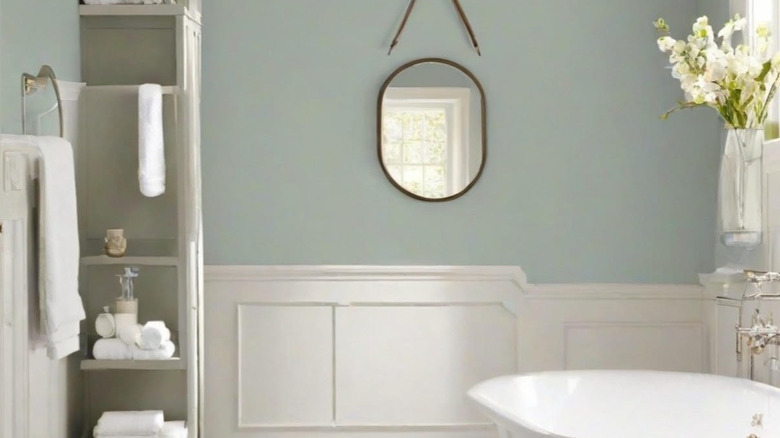 Quietude paint color in bathroom